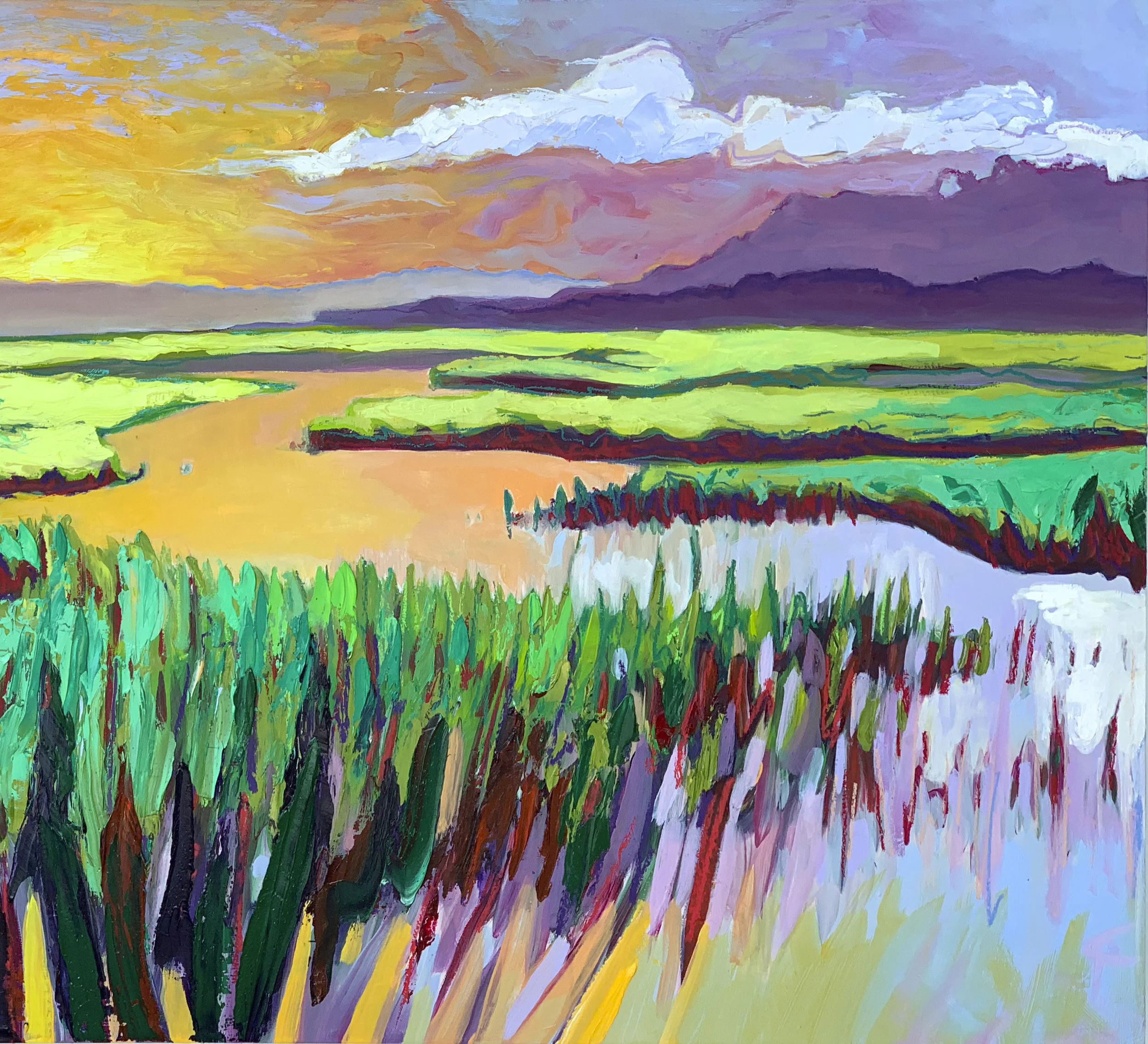 Edisto Marsh