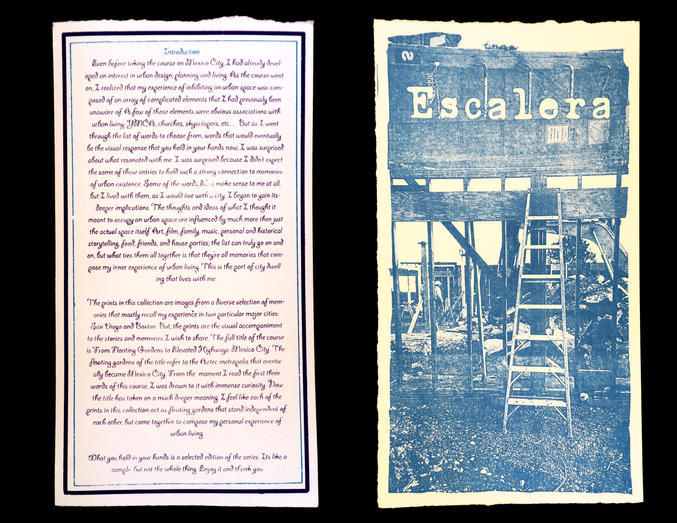 From Floating Gardens: Introduction and letter E