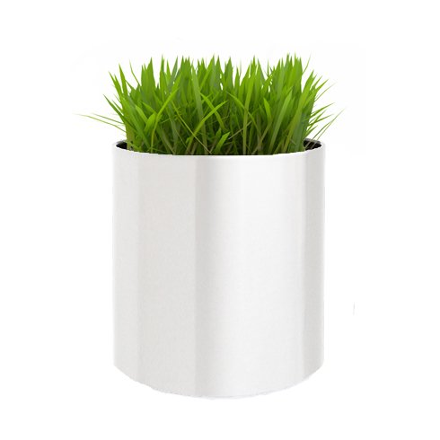 Stainless Steel Pot Planter