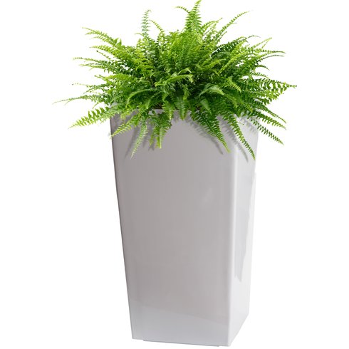 Self-Watering Plastic Pot Planter