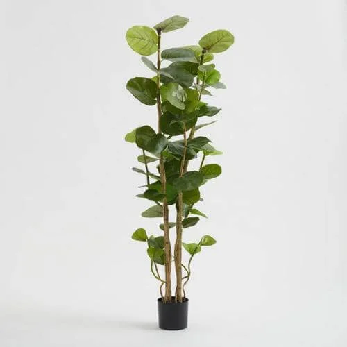 22 | Cost Plus World Market