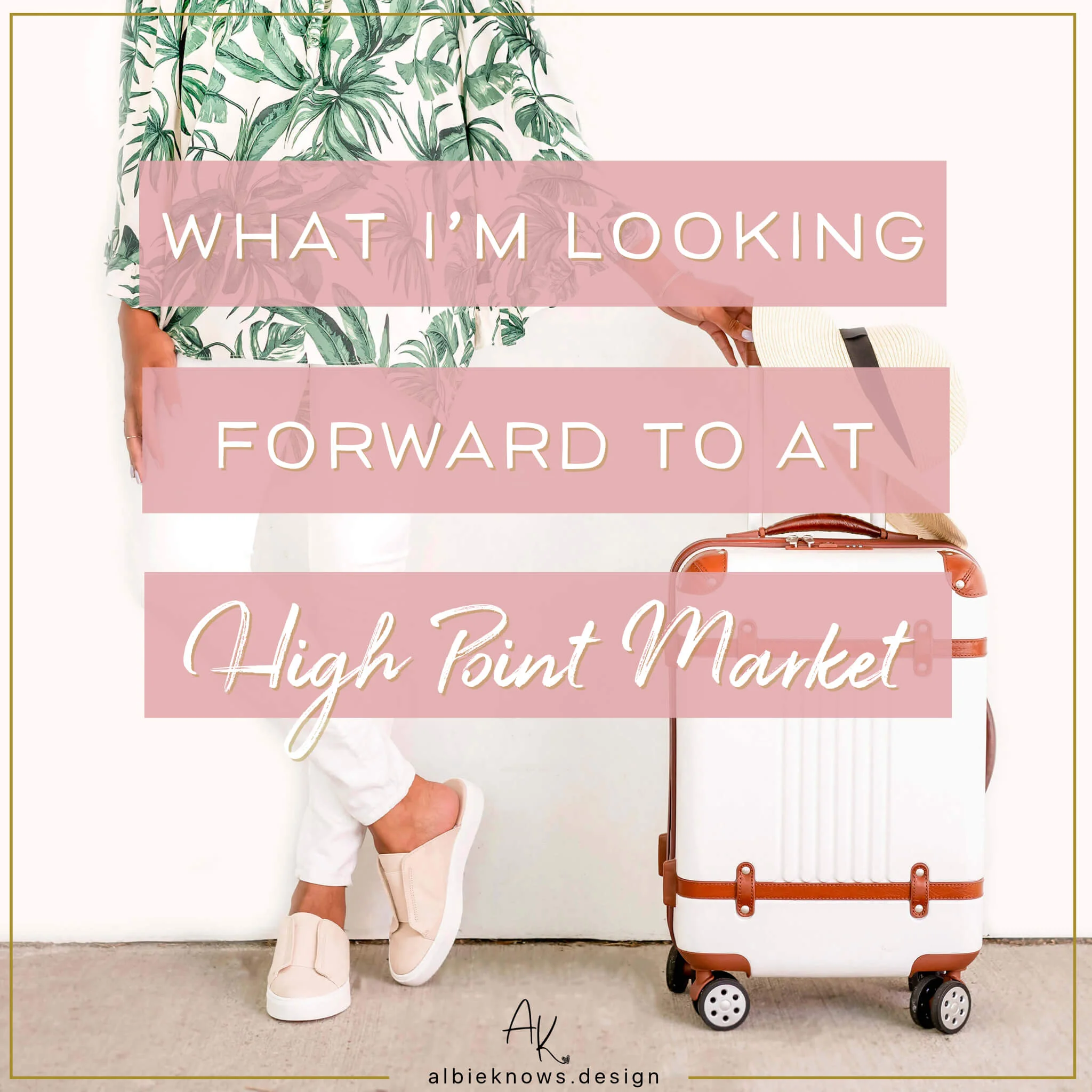 Albie Knows Going To HPMKT 1.jpeg