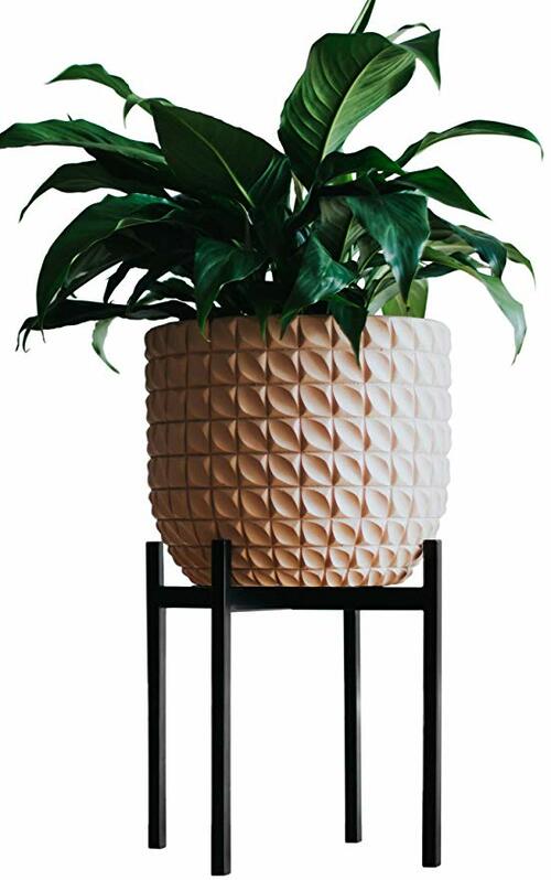 Plant Stand for Indoor &amp; Outdoor Pots 