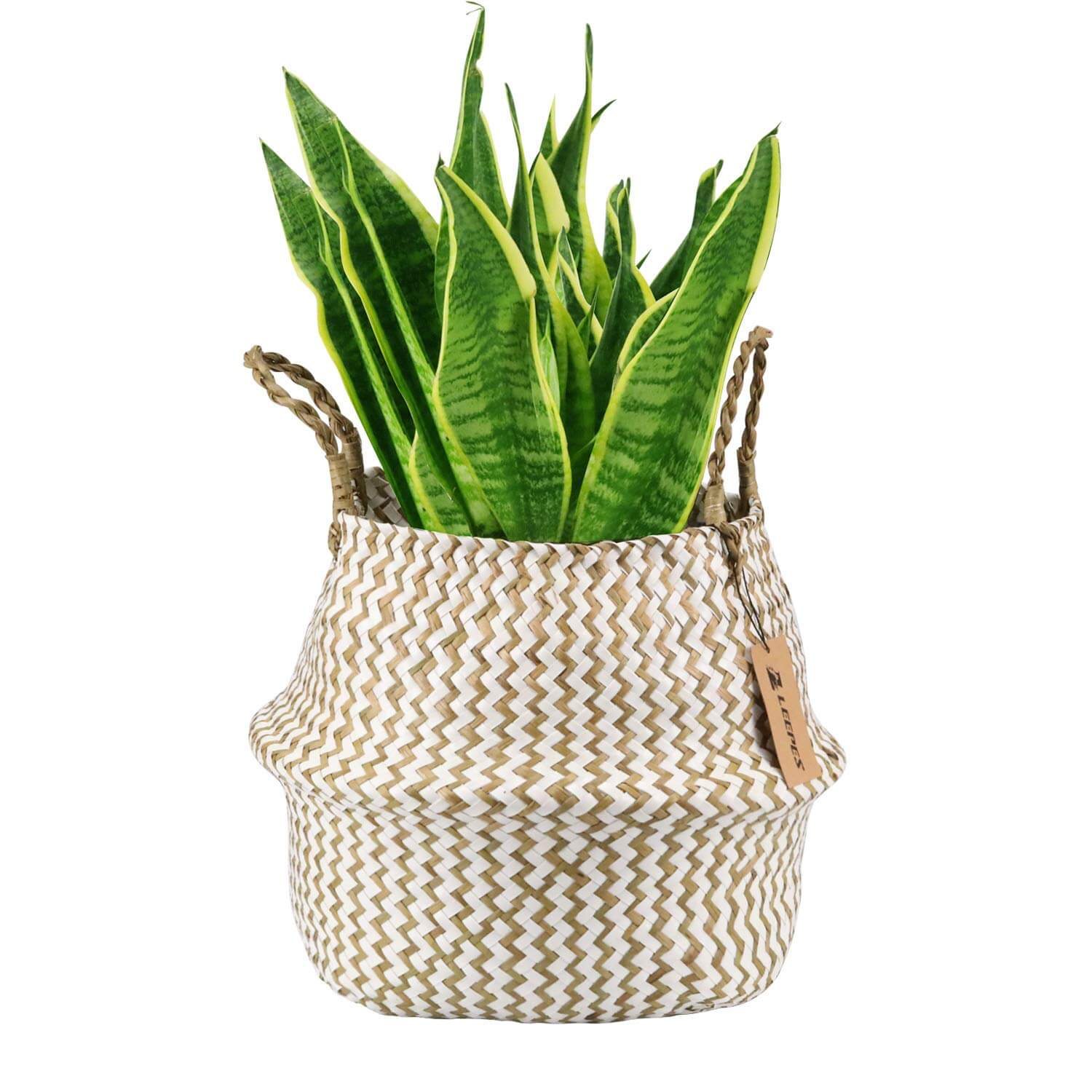 Natural Craft Seagrass Belly Basket 