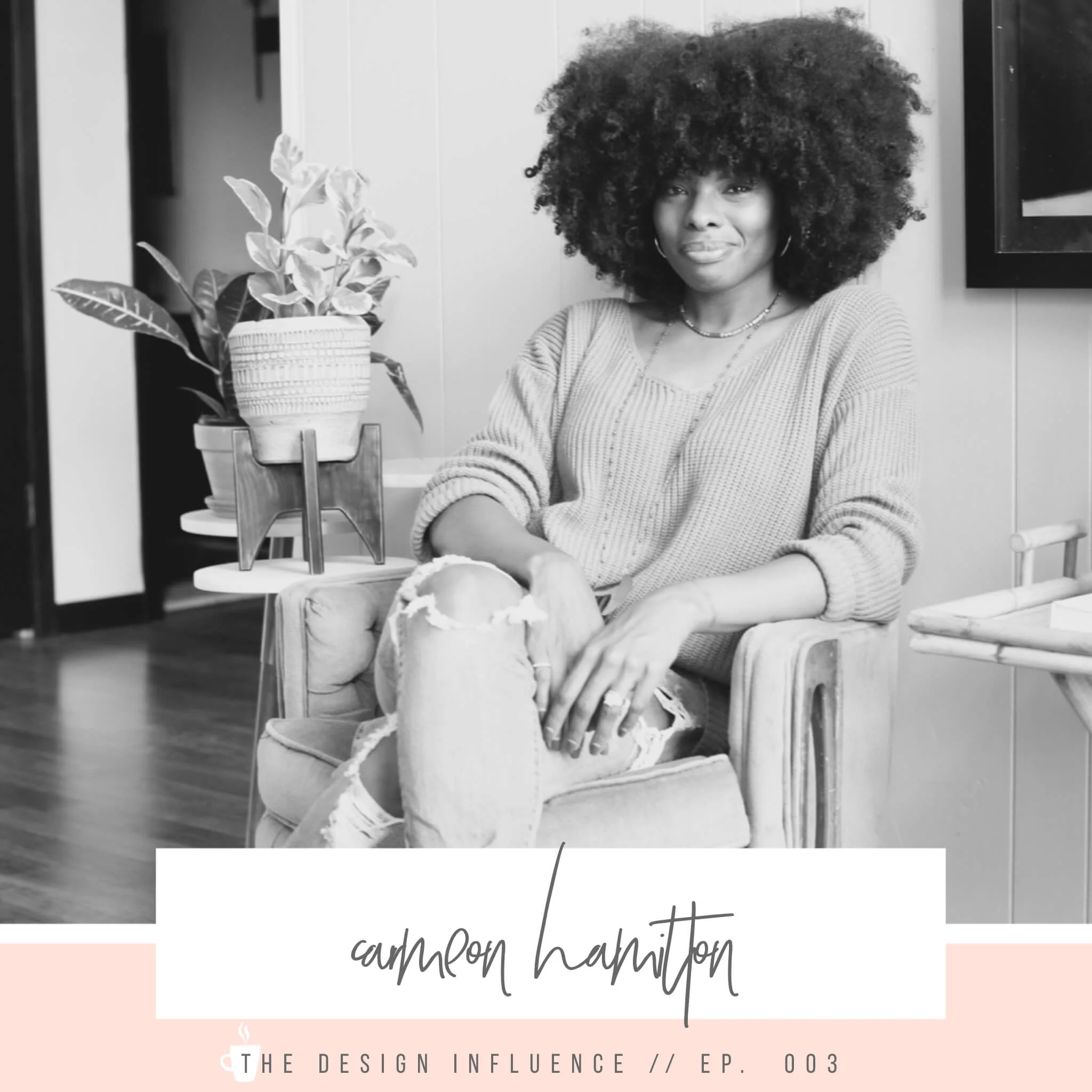 Episode 003: Understanding Your Audience & Turning Them Into Clients with Carmeon Hamilton