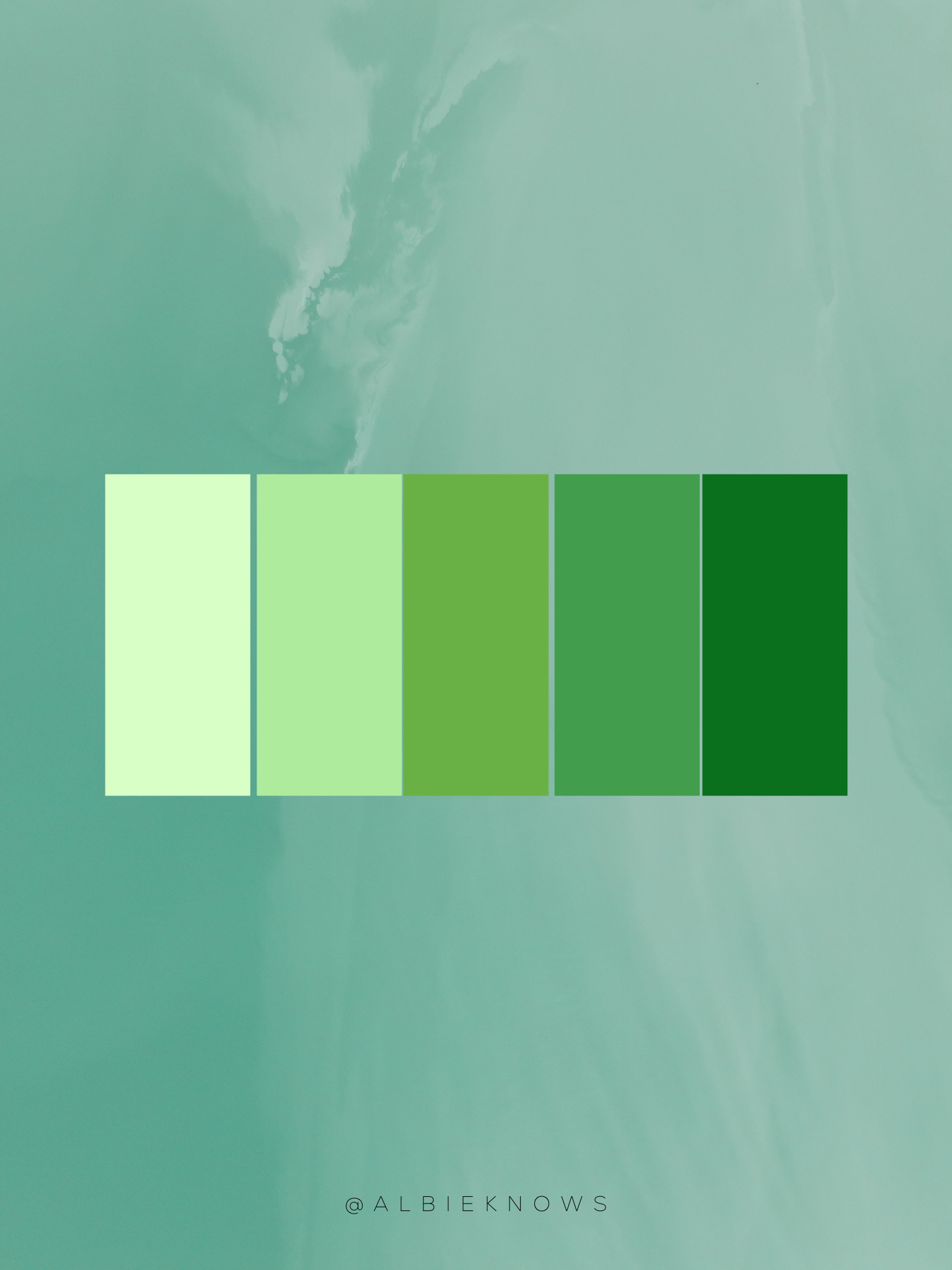 Kitchen Accessories Shopping Guide: Green