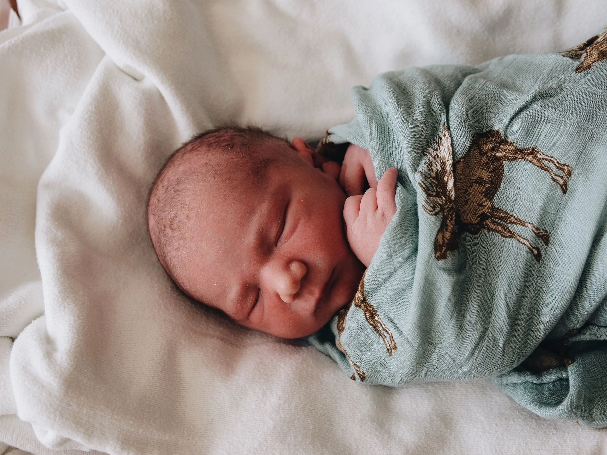 Oaken Daye // Birth Story