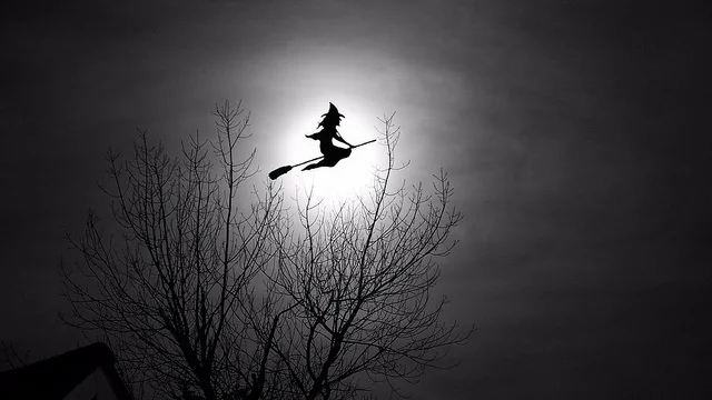 Image via Flickr by tsbl2000