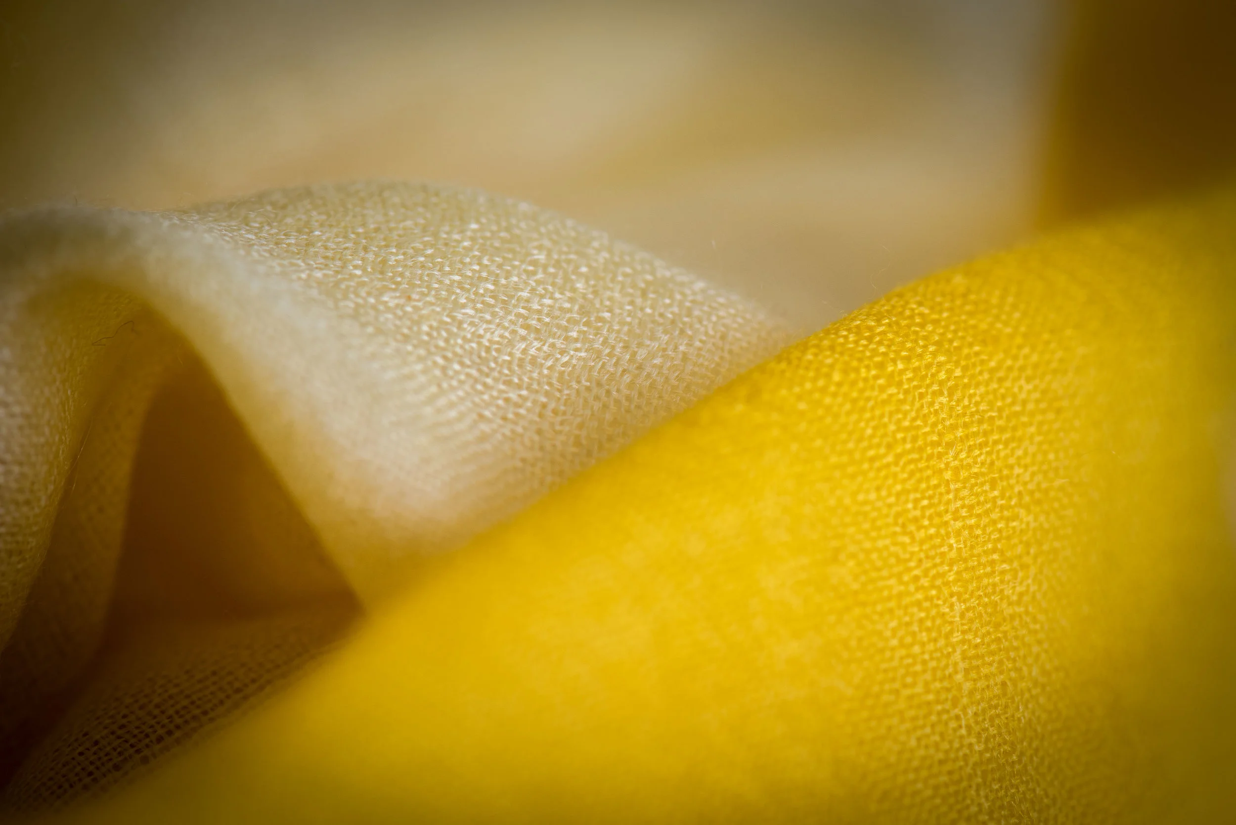 giallo bicolor-0015.jpg