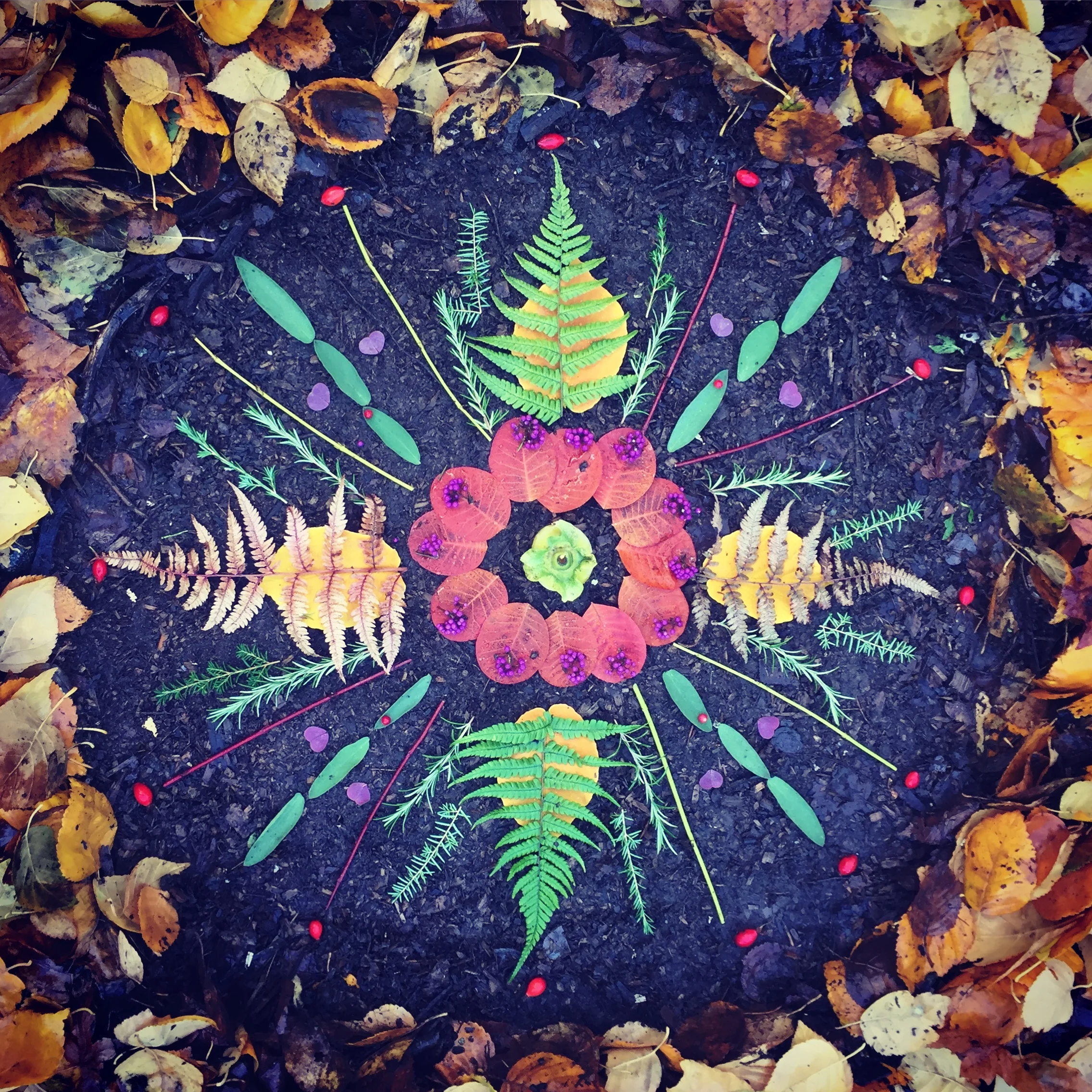 Homescape Seek & Find: Discovering JOY in Our Wild Edges