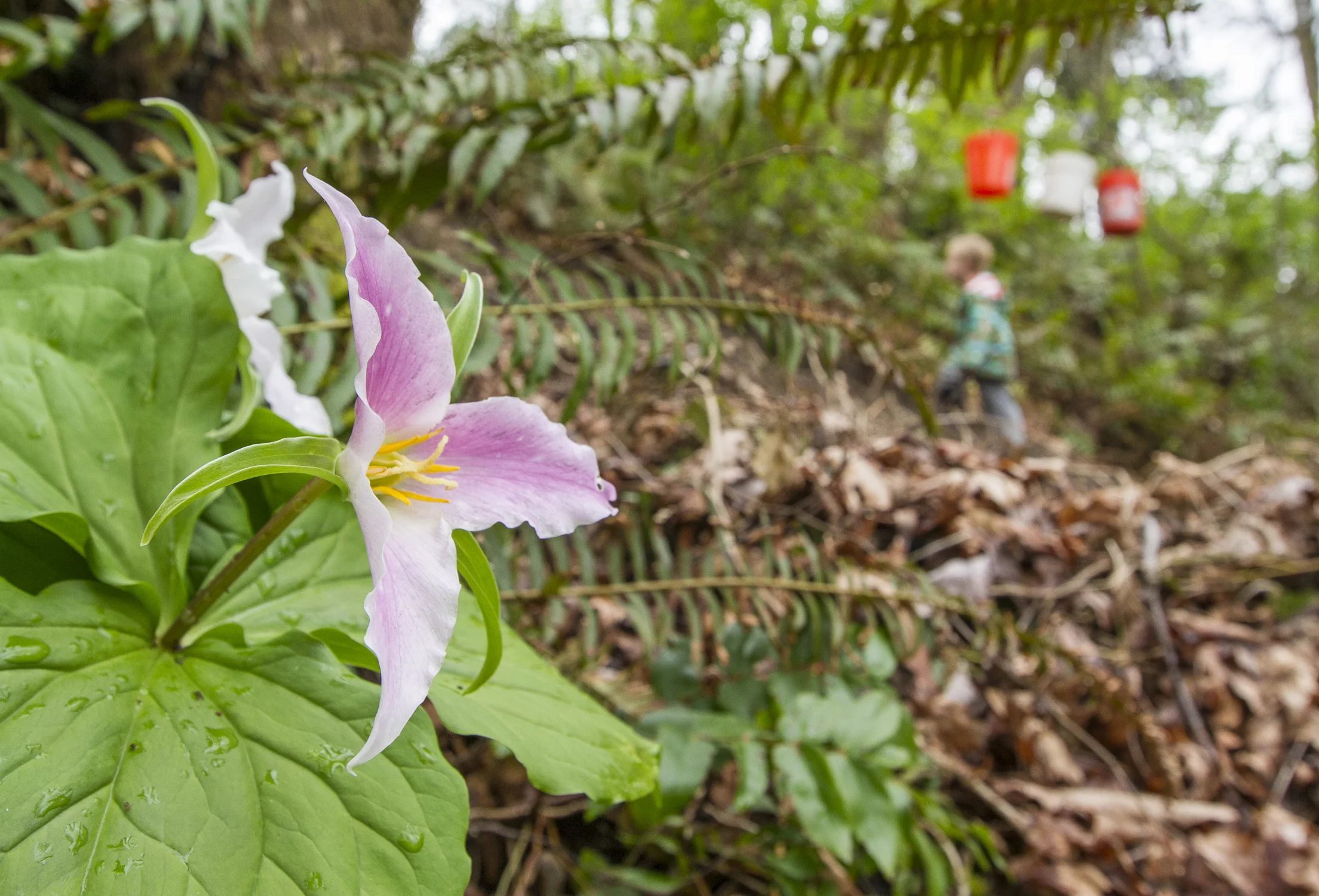 20140405_CheastyGreenspace_395-2.jpg