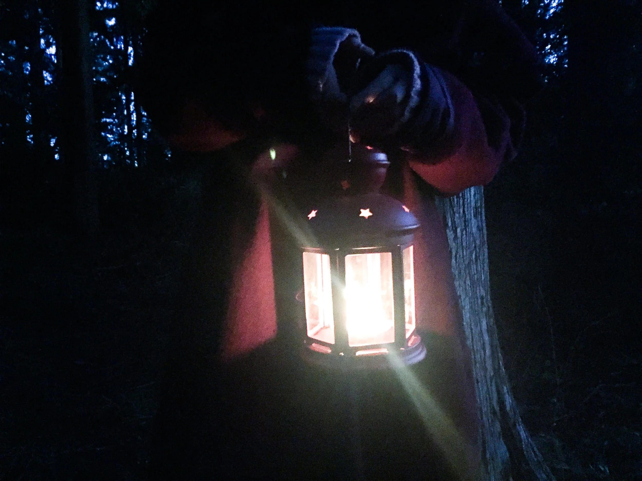The Rewilding Wheel: Turning Towards the Dark