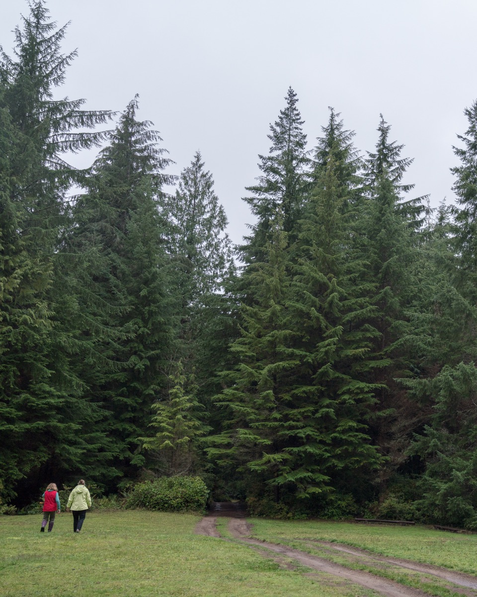 Waymarkers-Whidbey-75.jpeg