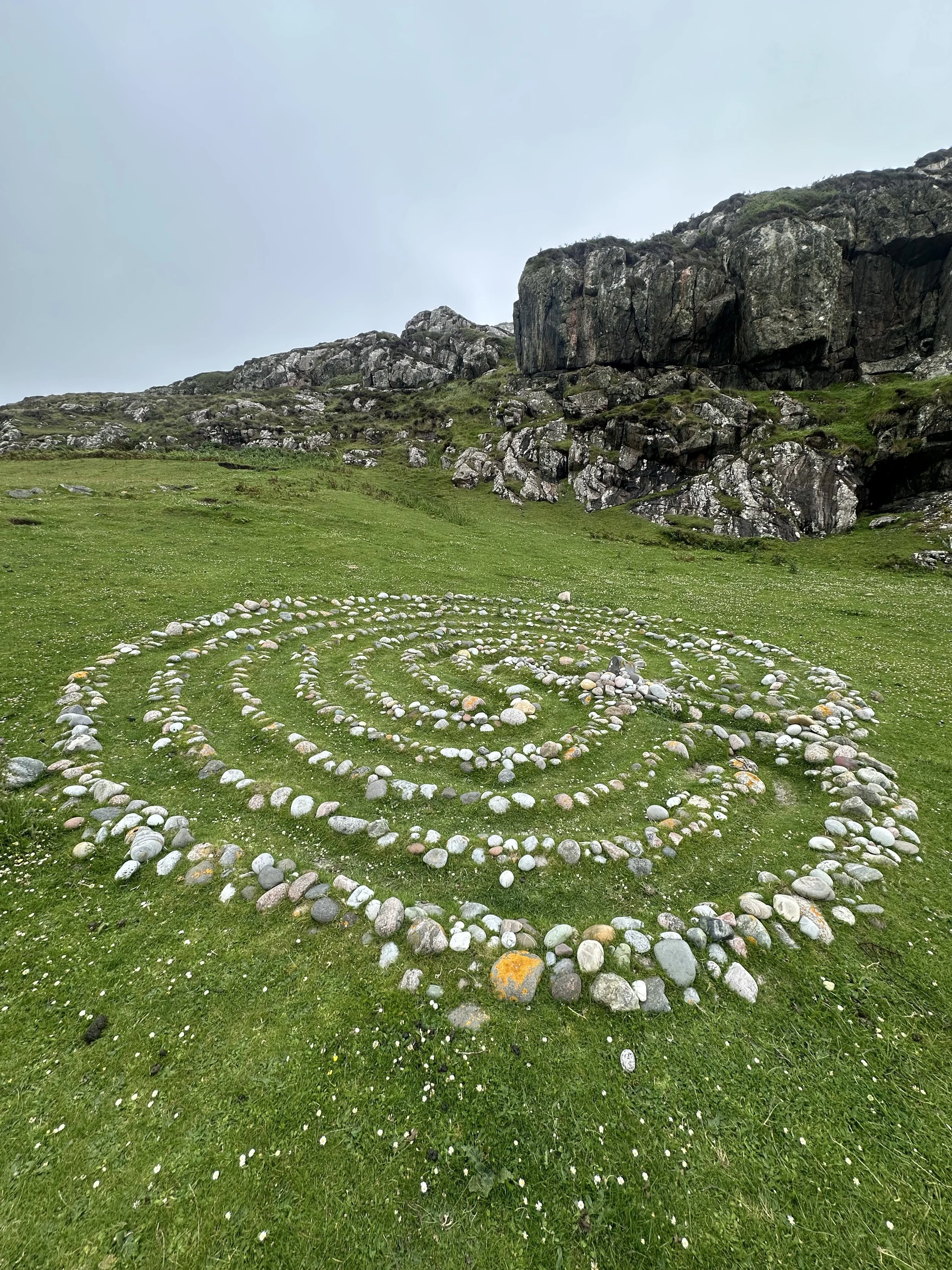 Rewilding &amp; Journeying with Nature 
