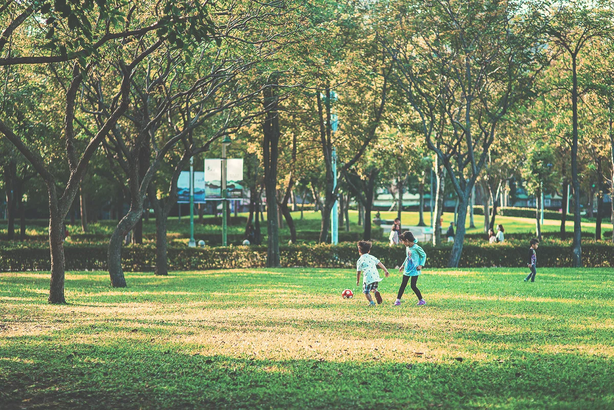 Linsen Park