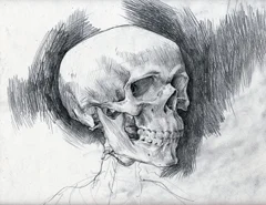 alan-clarke-skull-tn.jpg