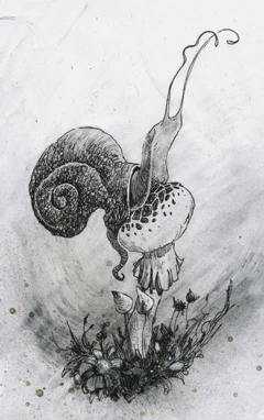 alan-clarke-snail-tn.jpg