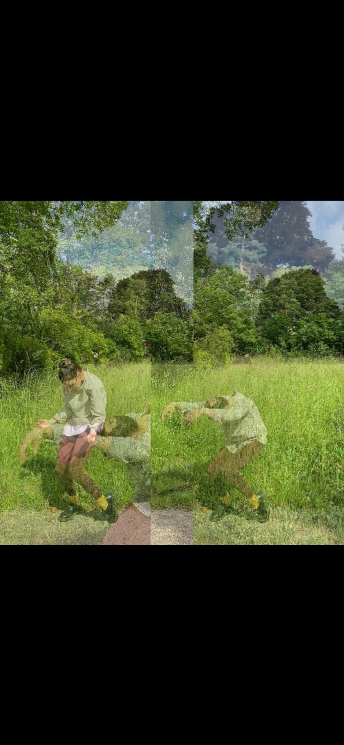 IMG_9446.PNG