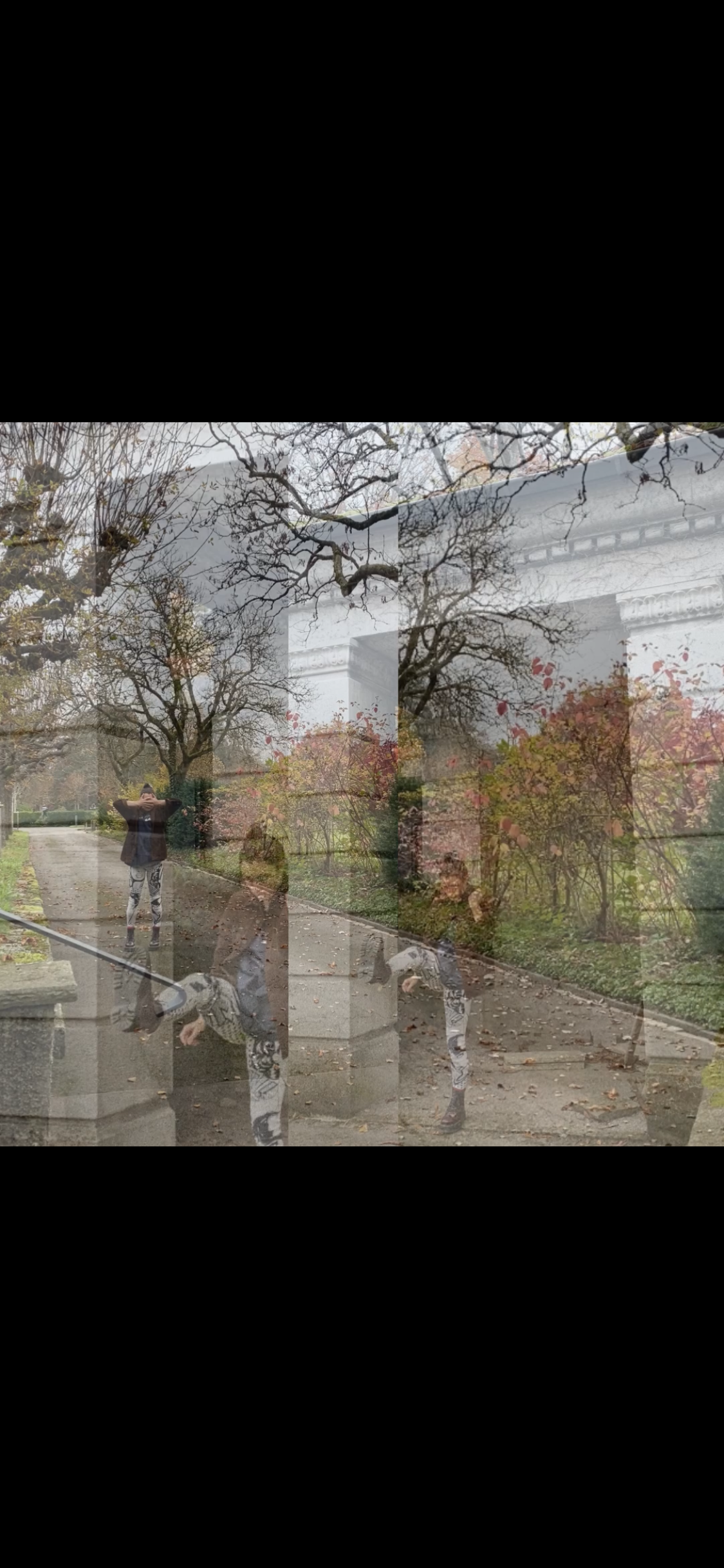 IMG_1193.PNG