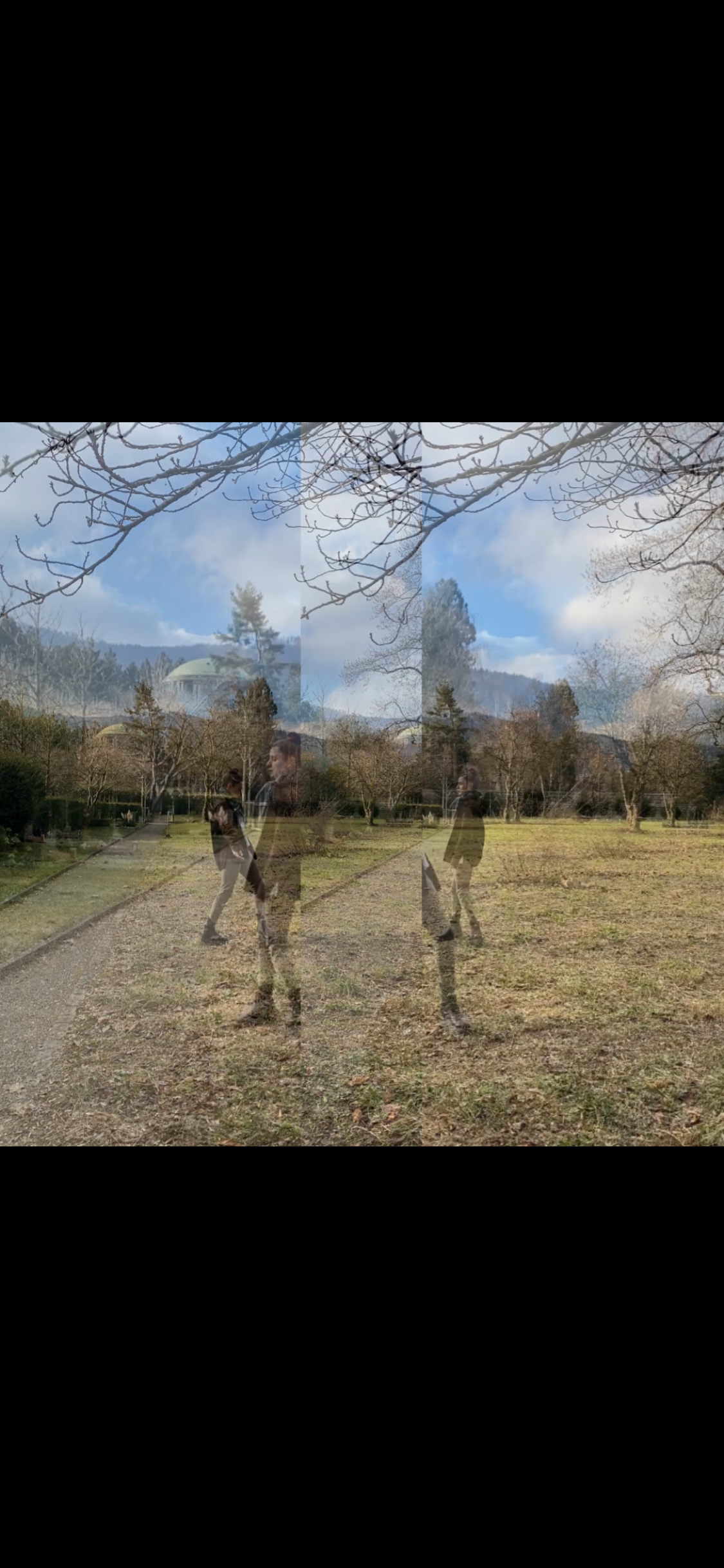 IMG_2039.PNG