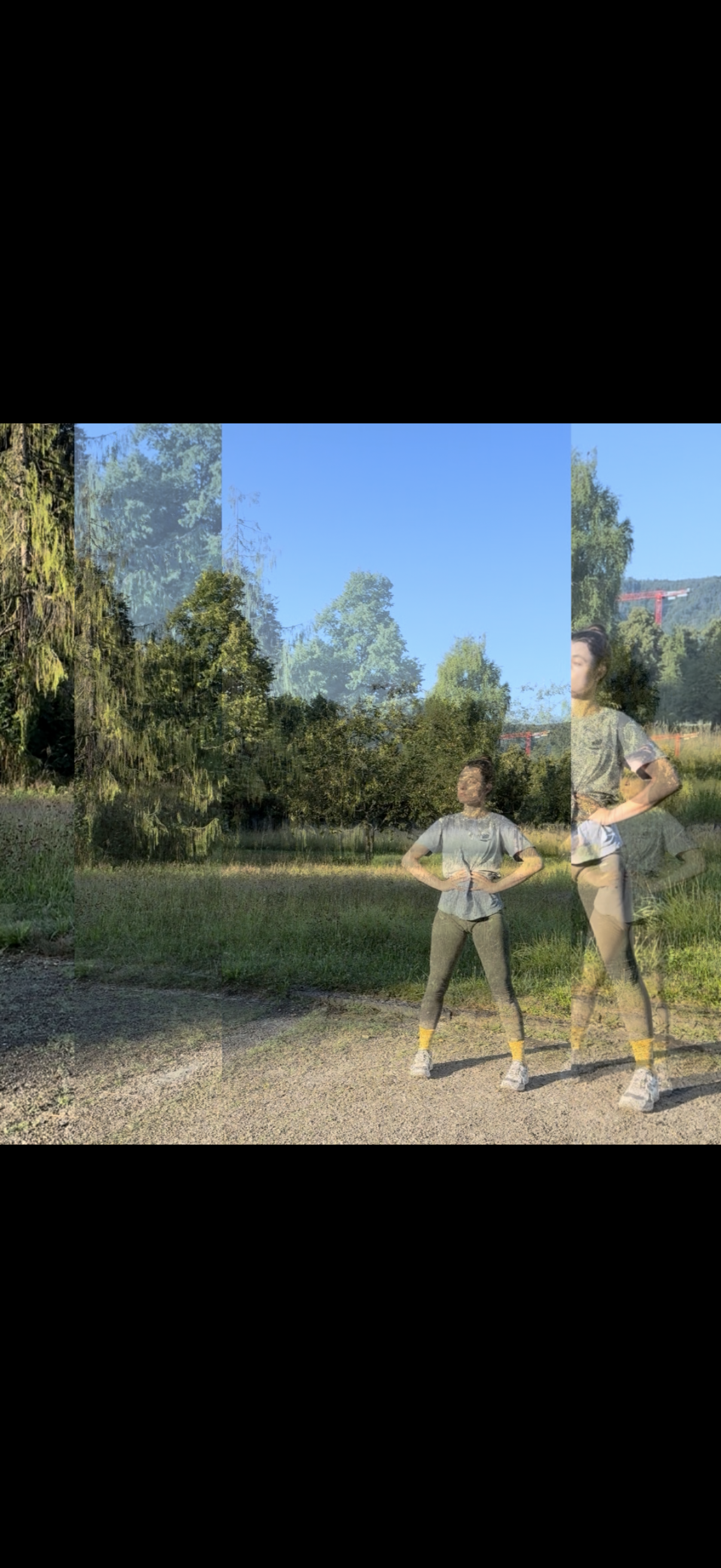 IMG_3946.PNG