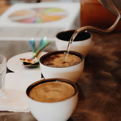 TRADITION COFFEE ROASTERS