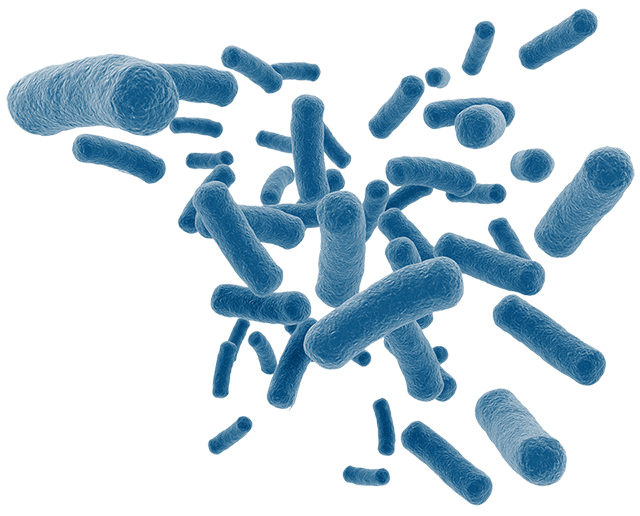 Bacteria_Blue_White_L_iStock-177518323-AH Home.png