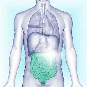 Human-Digestive-System-Large-and-Small-Intestine-Anatomy-951831816_4394x2160-blue green.jpg
