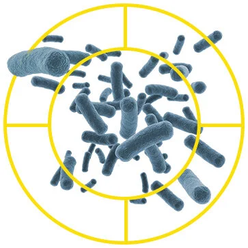 Bacteria Target-Recovered.jpg