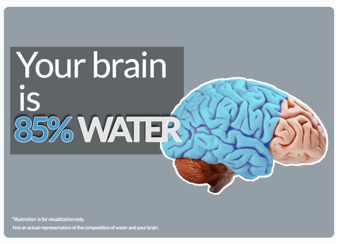https://www.atbs.com/knowledge-hub/lack-of-water-and-your-brain