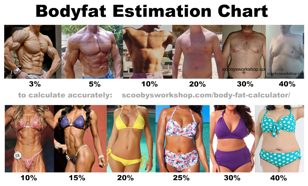 Body Fat Percentage Chart Men