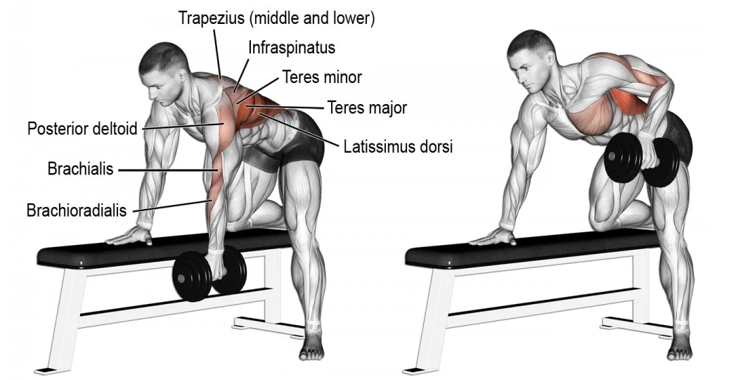 4-reasons-you-need-one-arm-dumbbell-row.jpg