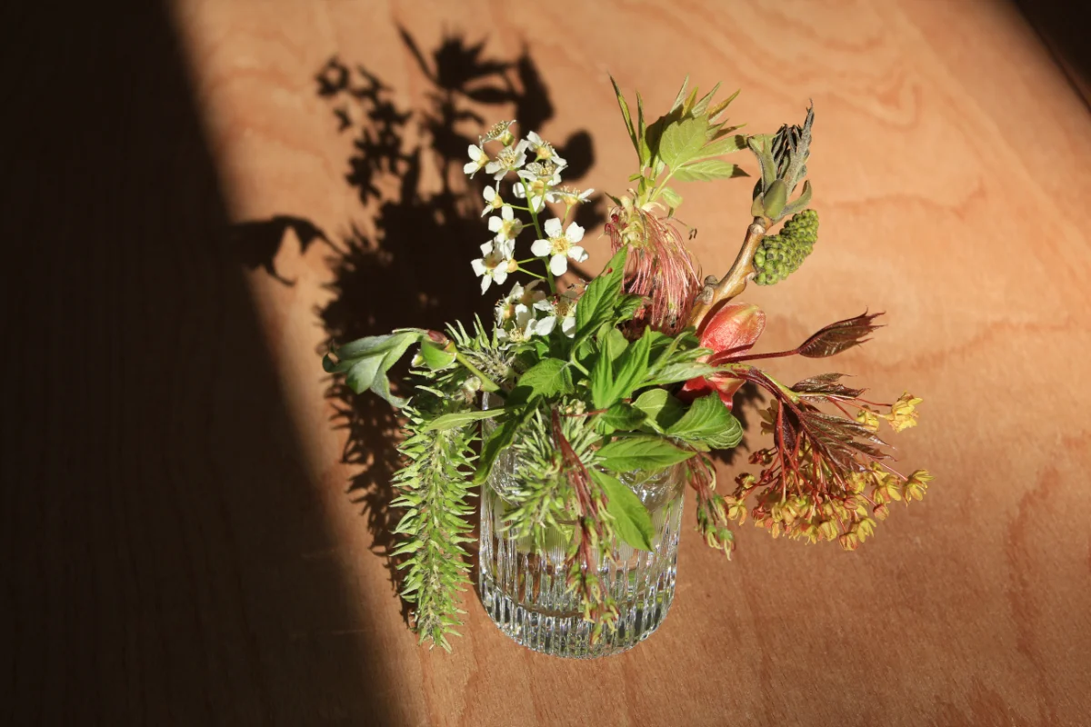blumen.jpg