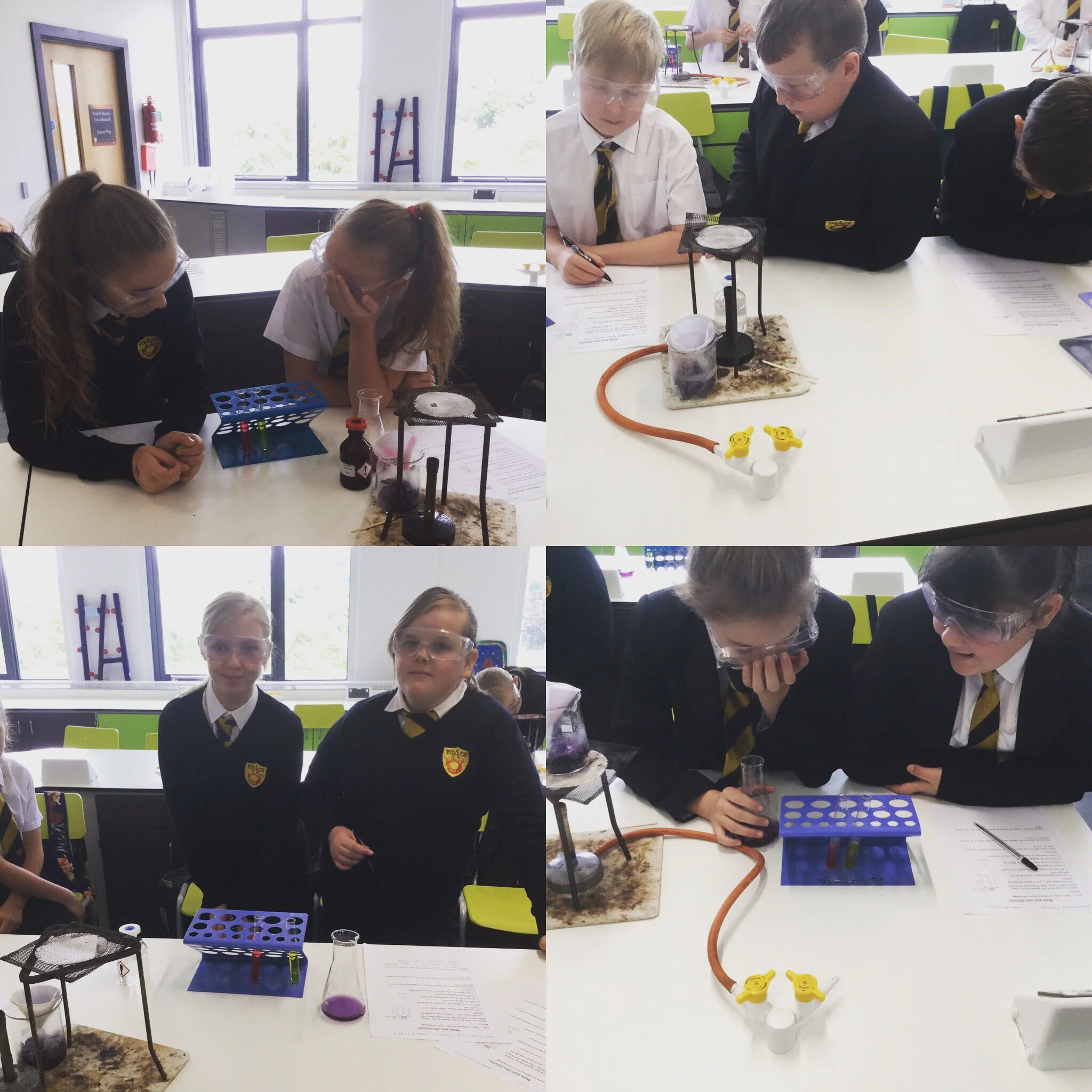 "Yr8 made their own indicator from red cabbage today. Why is it called red cabbage if it's purple though?! #science #foodscience #indicator"