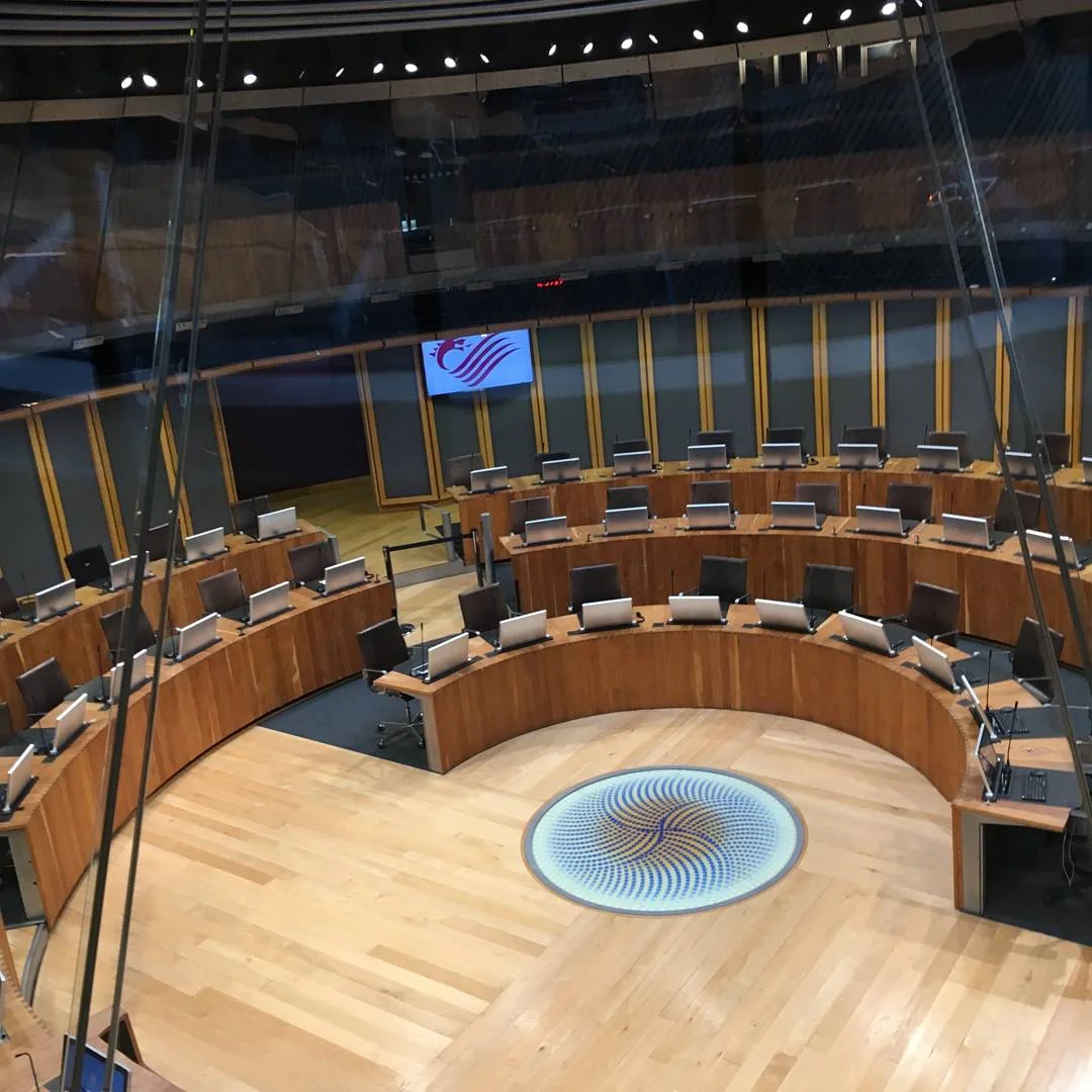 Senedd Trip