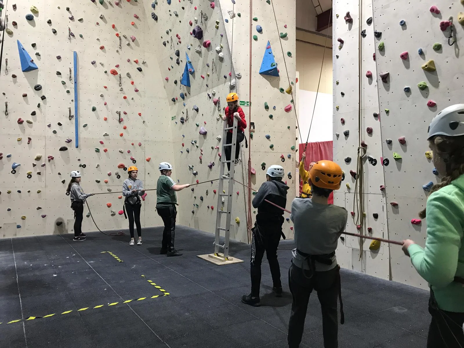 IMG-20181212-WA0010.jpg