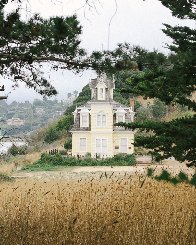 marin-california-20.jpg