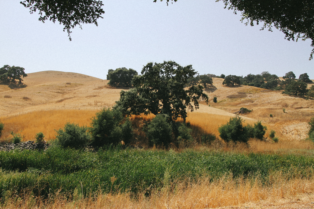 marin-california-34.jpg