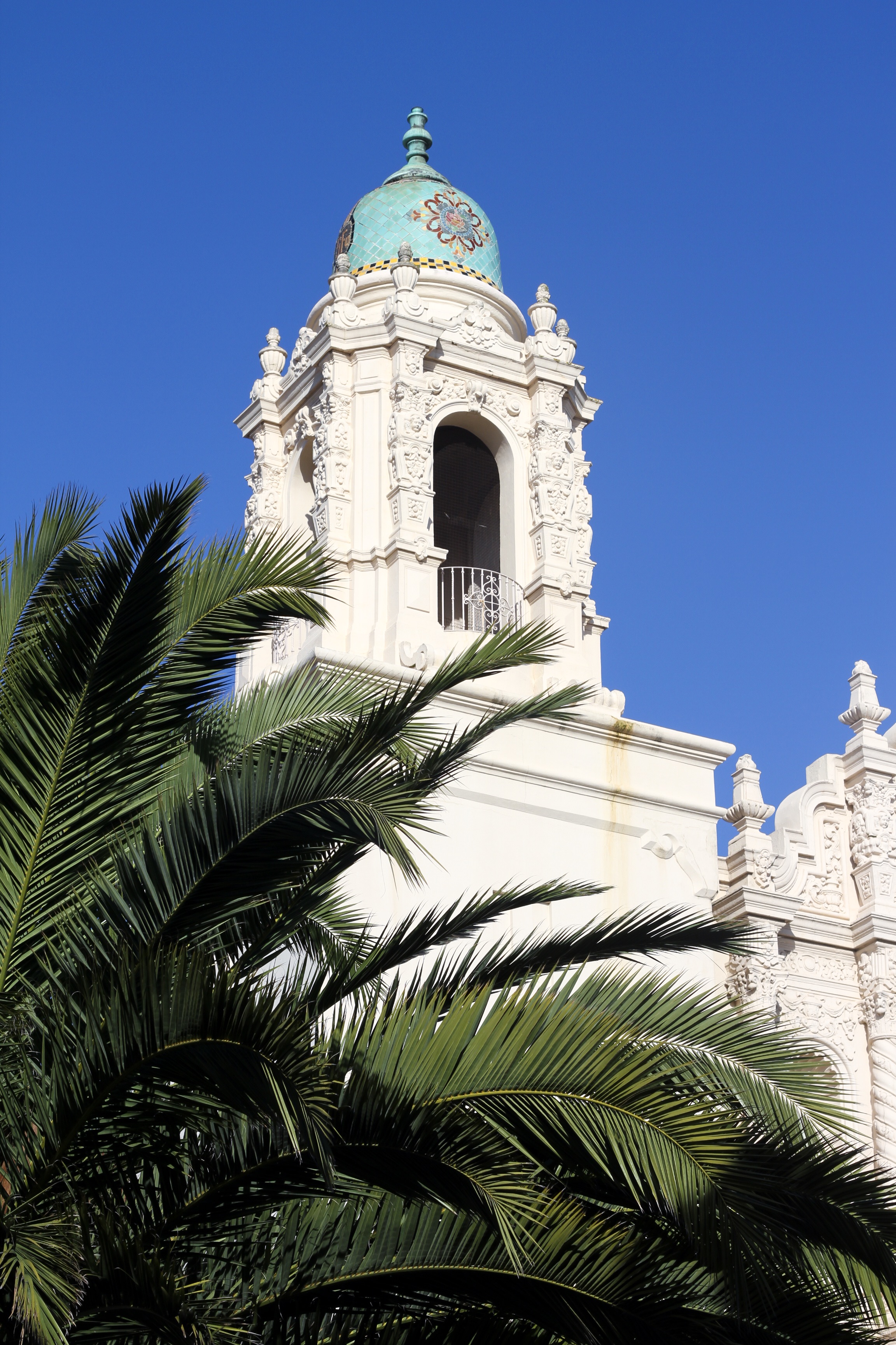 IMG_8799.jpg
