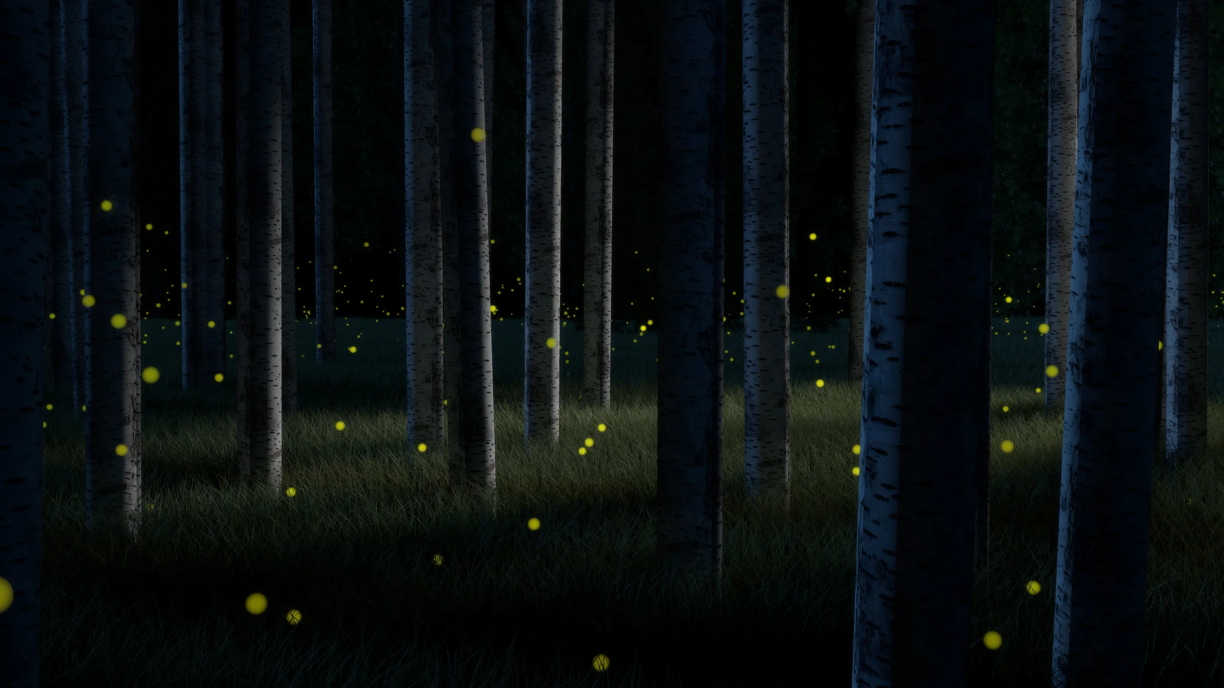 FIREFLY FIELD