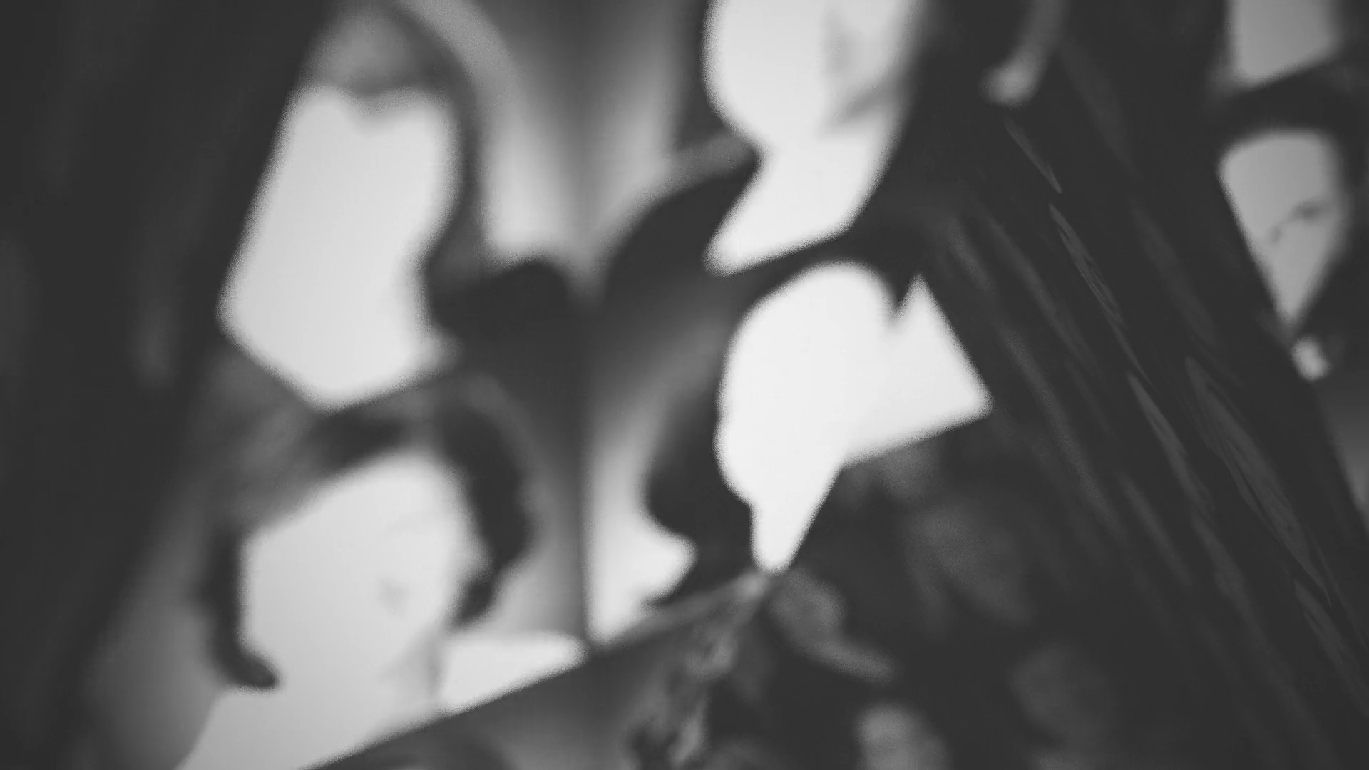 ARCHER LAW WOMEN'S DAY