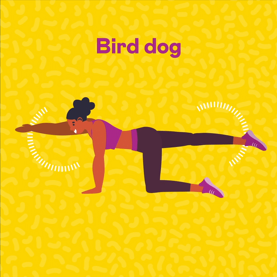 UDSNAP Workouts in a Snap 