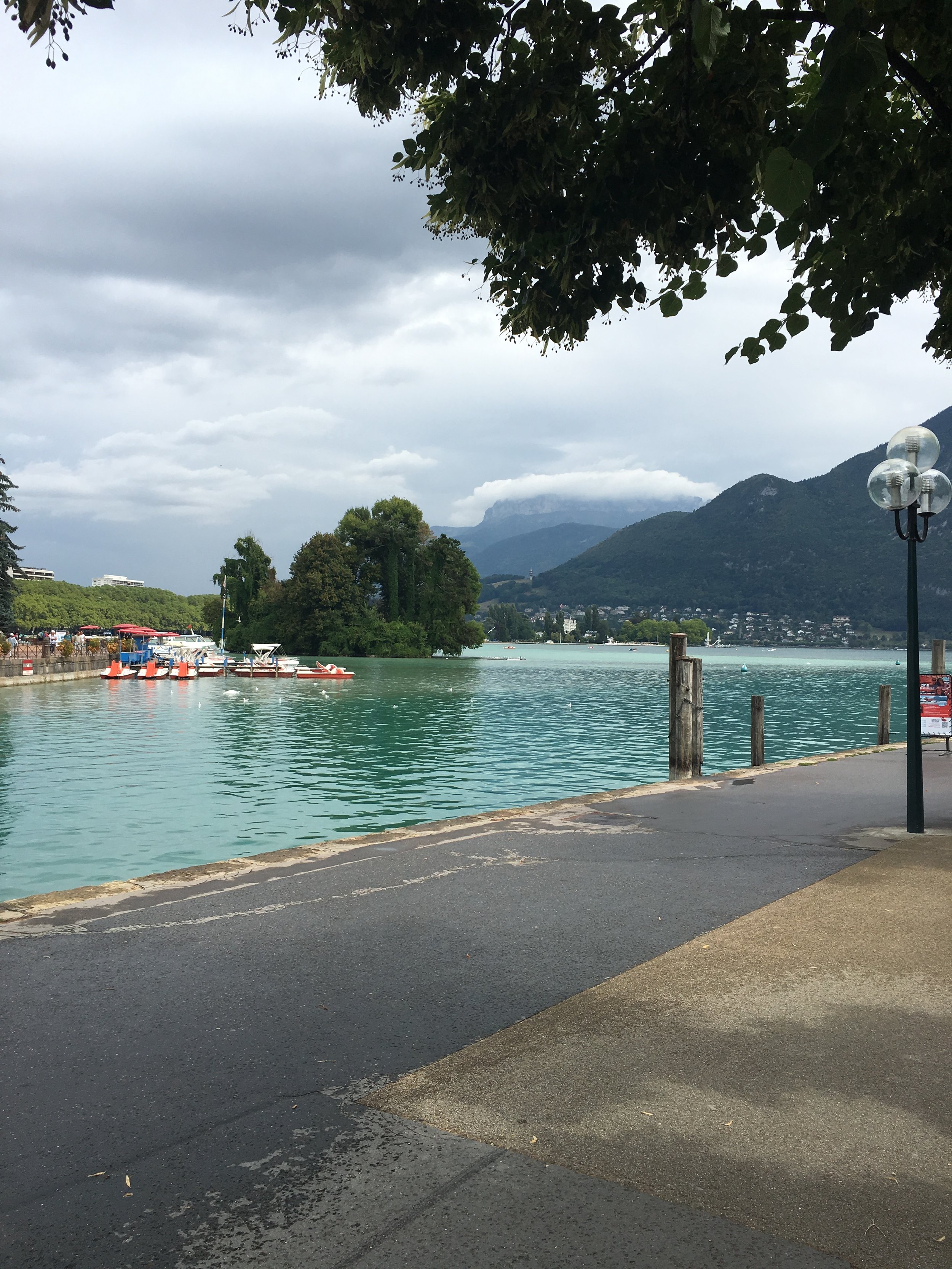 IMG_3807.jpeg