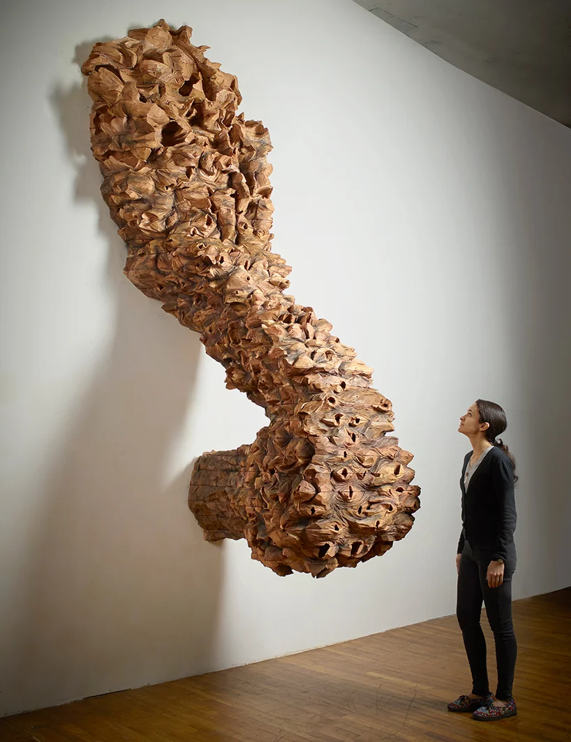 Nester , 2016. Cedar.