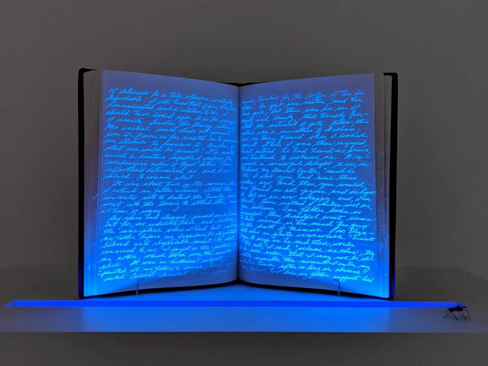 Jeanne-Silverthorne-Jan-2019-Installation-Frankenstein-LR-1000x750.jpg