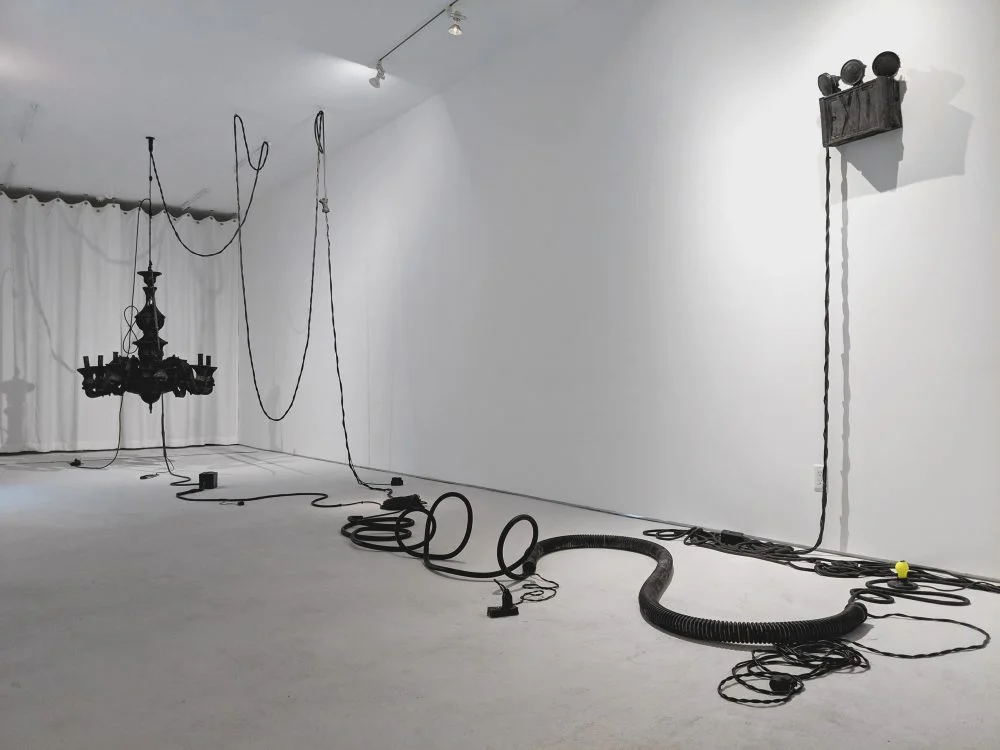 Jeanne-Silverthorne-Jan-2019-Installation-01a-1000x750.jpg
