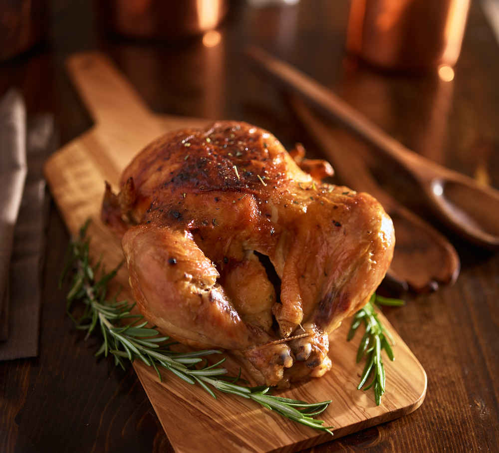chicken 1.jpg