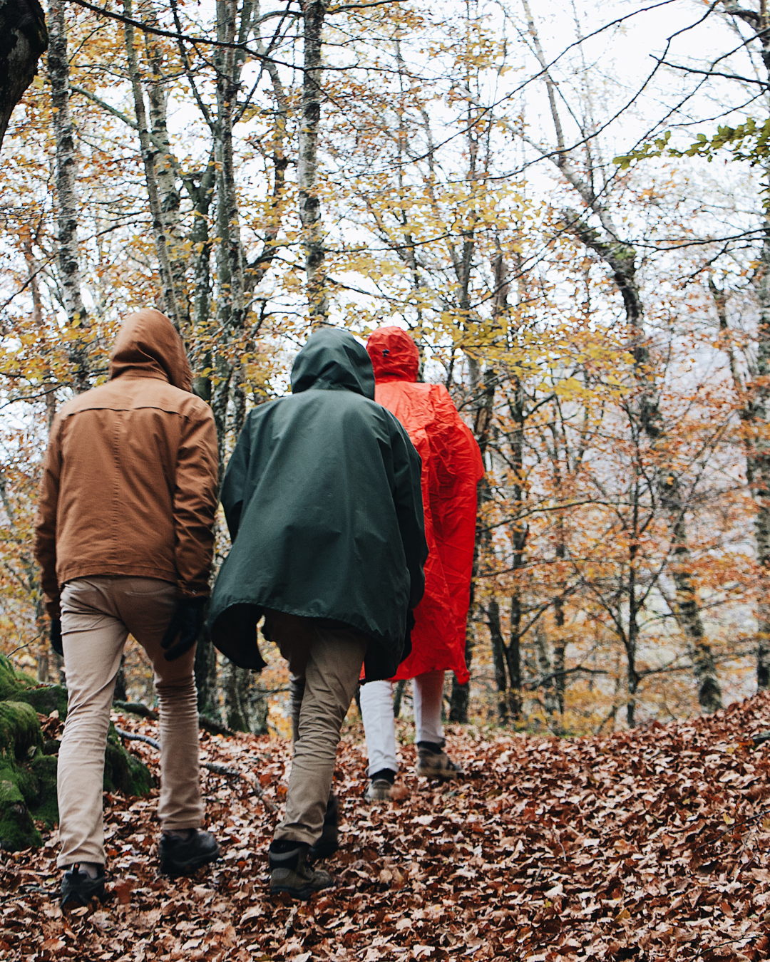 Winter Wild Walk - Castle Comb