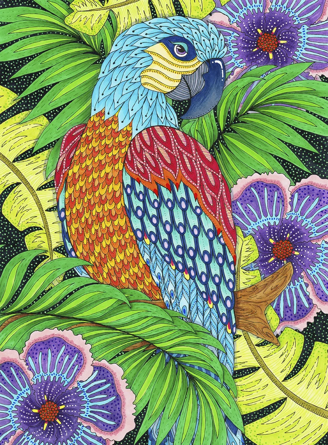 Jungle Parrot Small.jpg