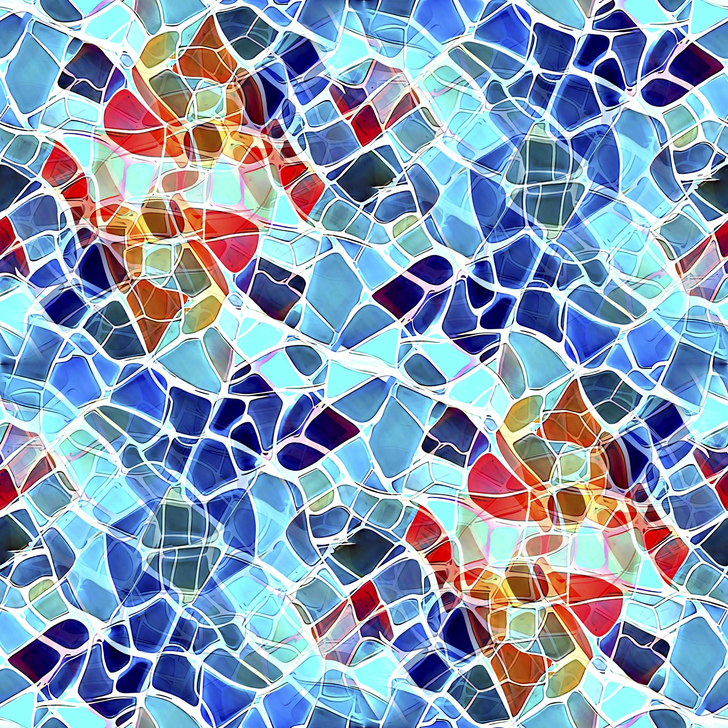 Fish Reflection small.jpg